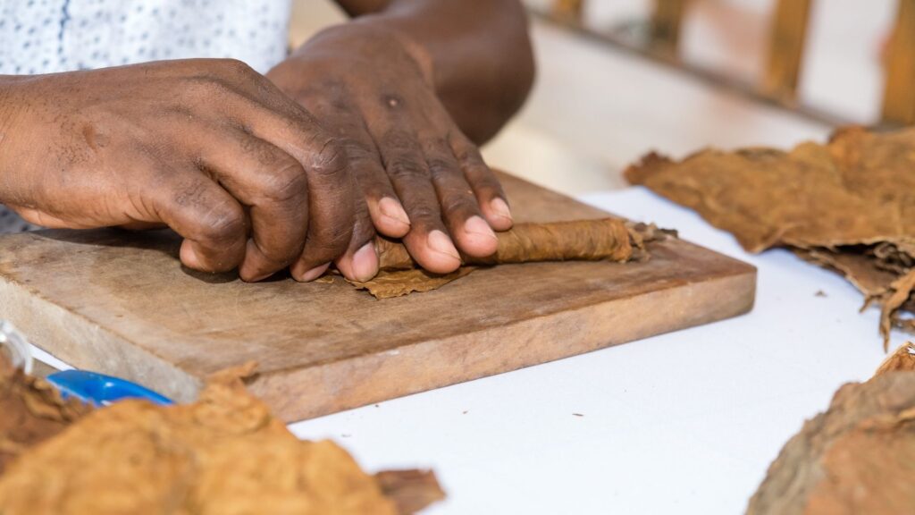 cigars rolling