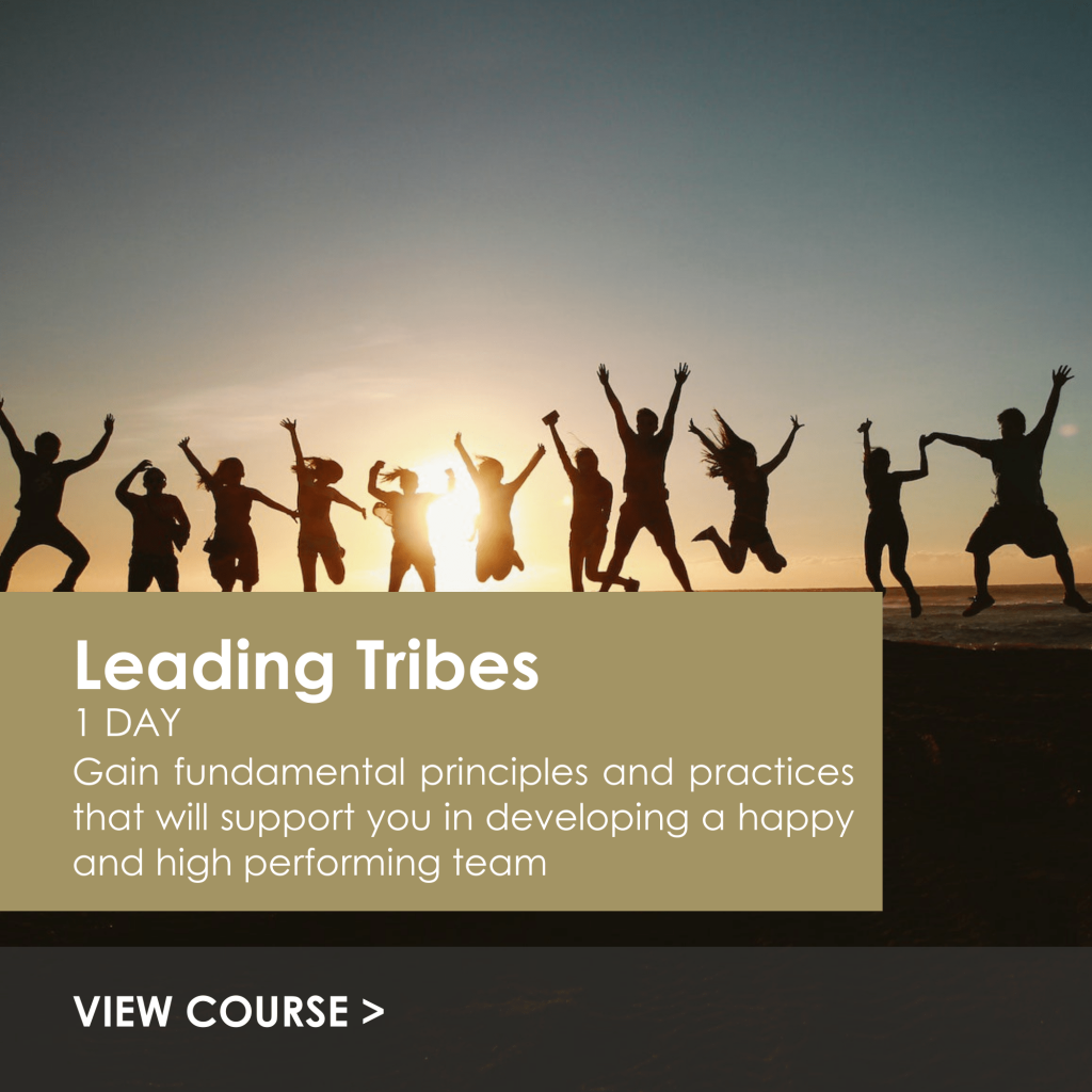 Luxury Hospitality courses | Leadership training | Leading Tribes Luxury Hospitality | Leadership Courses | Hospitality Training and leadership training | Leading Tribes